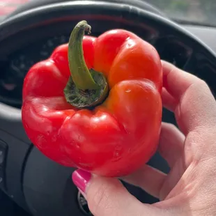 Needed 1 missing ingredient