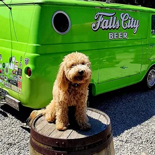 Cody appreciates that they love dogs here.