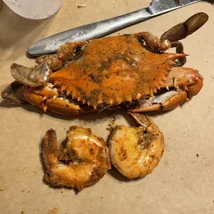 "When I grow up I hope to have as much meat as this little shrimpy"