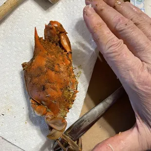 Wait! Did we mention half the claws ended up in the bottom of the bushel?