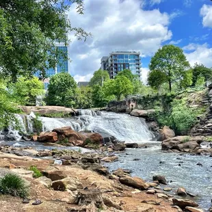 The falls on the Reedy River.