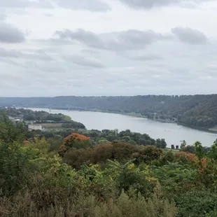 Scenery from restaurant