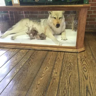 sushi and sashimi, interior