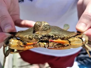 Virginia Beach