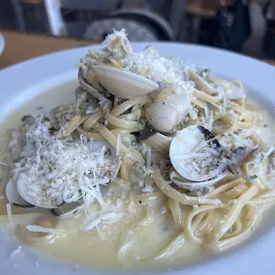 food, pasta, pasta dish