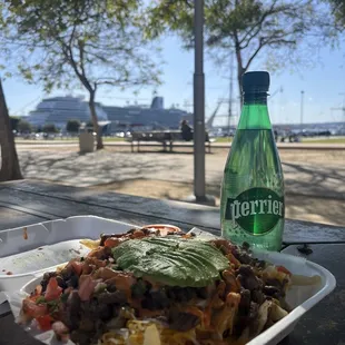 Carne Asada Fries