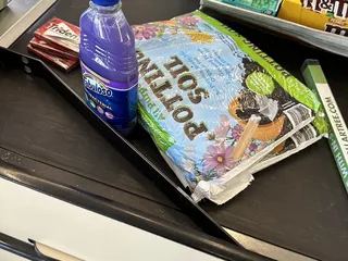 Dollar Tree