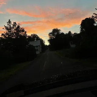N Y.