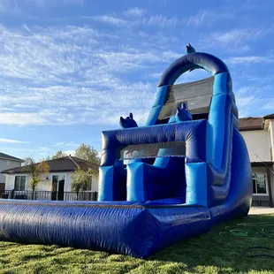 16 Ft Dolphin Themed Water Slide with attached pool