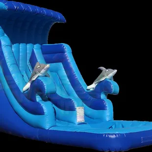 Dolphin 14&apos; Water Slide