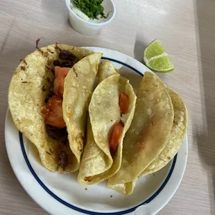 Barbacoa tacos are delicious