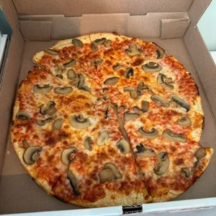Large Mushroom Pizza