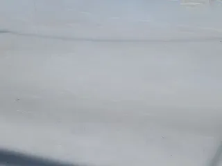 The Pond at Southlands