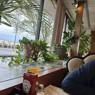 Beautiful plants through the entire restaurant!