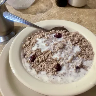 a bowl of oatmeal with milk and cranberries