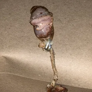 End of the sausage casing with staples