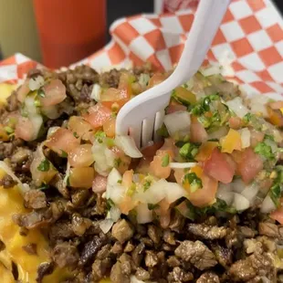 Carne asada fries