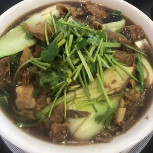 Braised Beef Stew Noodle Soup