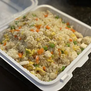 Salted Fish and Chicken Fried Rice