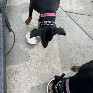 We always bring their lunch so they can join us.