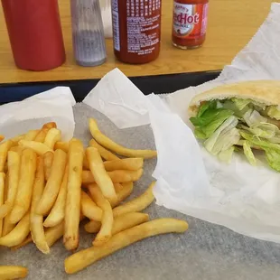 Grilled chicken pita and fries.