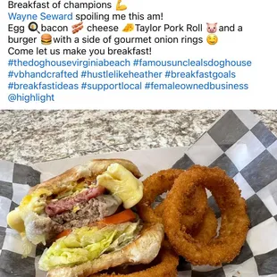 a sandwich and onion rings