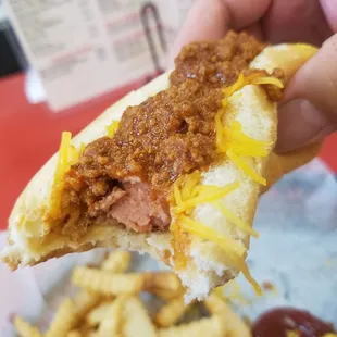 a hand holding a hot dog