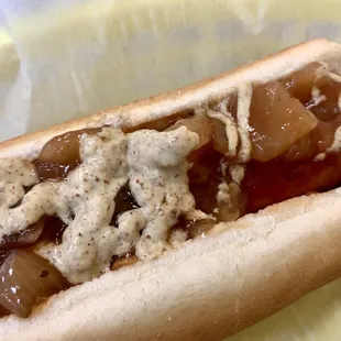 New York Dog with spicy brown mustard and red onion sauce - SO YUMMY!