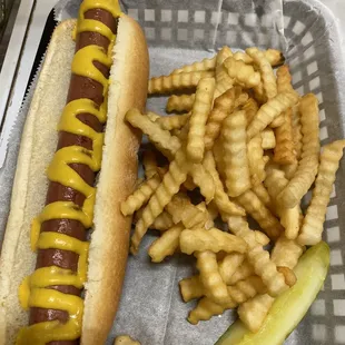 Footling hotdog with fries
