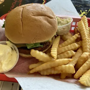 Veggie Burger with Fries and coleslaw