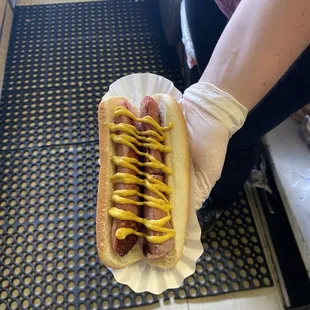 sandwich, hot dogs, food, hot dog