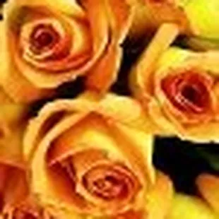 Leaving You Fun and Fancy Free!