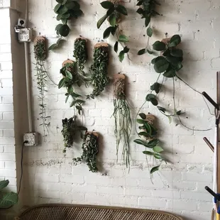 Wall of plants.