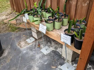 Hollie's Farm & Garden