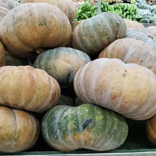 a variety of fruits and vegetables