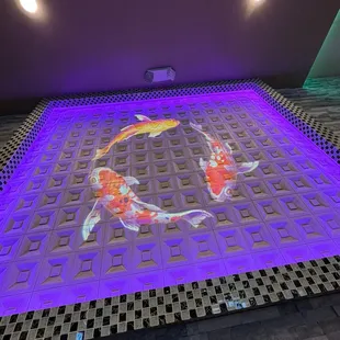 Moving fish on the wall
