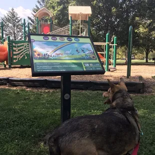 More of the playground with part of the story walk