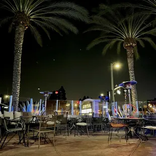 palm trees and tables