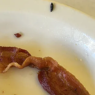 Rat feces