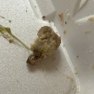 Smelly moldy nasty something that was in the carne asada nachos