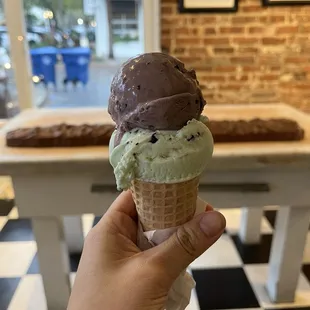 Raspberry chocolate chip and mint chocolate chip