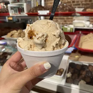 Cookie Butter icecream