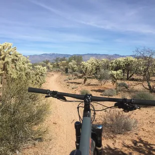 Fatty plus Tallboy SC ready to fly!