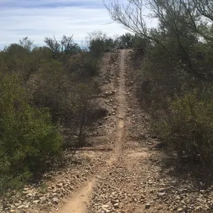 Ready for FFFFT! Fast furious fun fat tires.