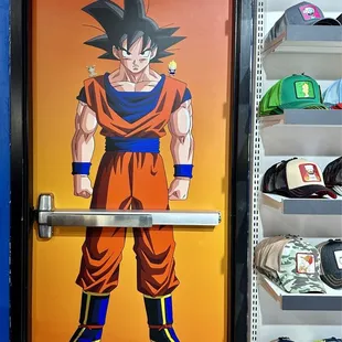 DragonBallZ Door