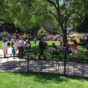 Ate my delightful tacos at the square