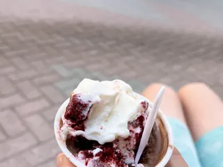 Lizzy's Ice Cream
