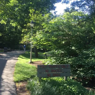 The trail. It's only a little over a mile