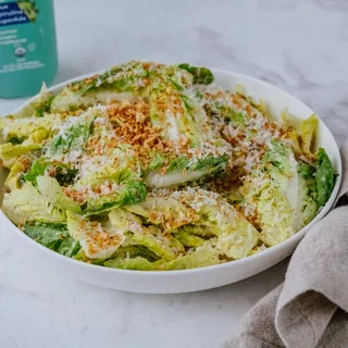 Miso Caesar