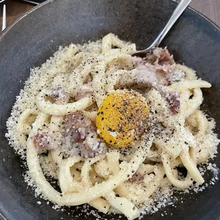 Bucatini Carbonara